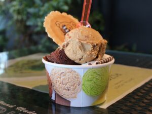 Ice Cream Cup 8 oz