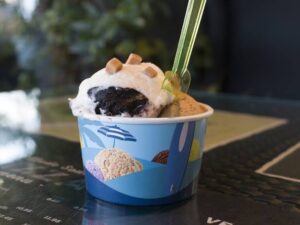Ice Cream Cup 5 oz